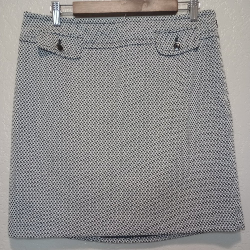 Ann Taylor LOFT Women's Size 10 Skirt